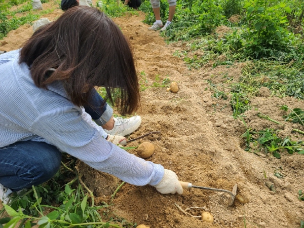 ��õ �ұ����� ���ڼ�Ȯ(2020. 7. 3)