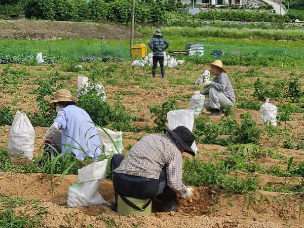 ��õ �ұ����� ���ڼ�Ȯ(2020. 7. 3)