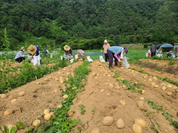 ��õ �ұ����� ���ڼ�Ȯ(2020. 7. 3)