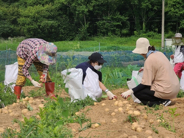 ��õ �ұ����� ���ڼ�Ȯ(2020. 7. 3)