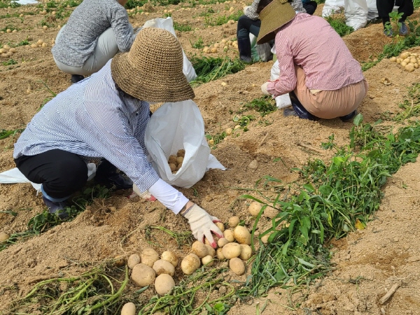 ��õ �ұ����� ���ڼ�Ȯ(2020. 7. 3)