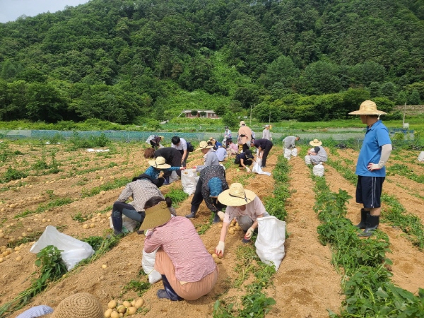 ��õ �ұ����� ���ڼ�Ȯ(2020. 7. 3)