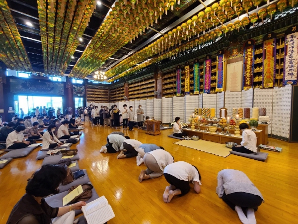 �������� 2020��