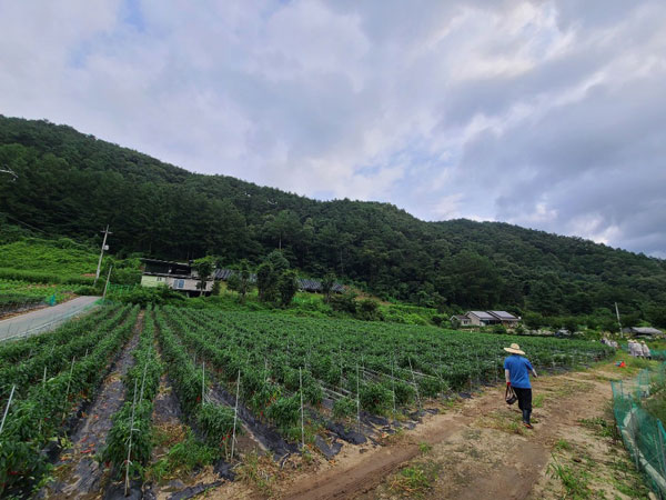 ��õ���߿�� 2020��