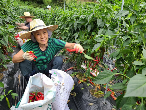 ��õ���߿�� 2020��