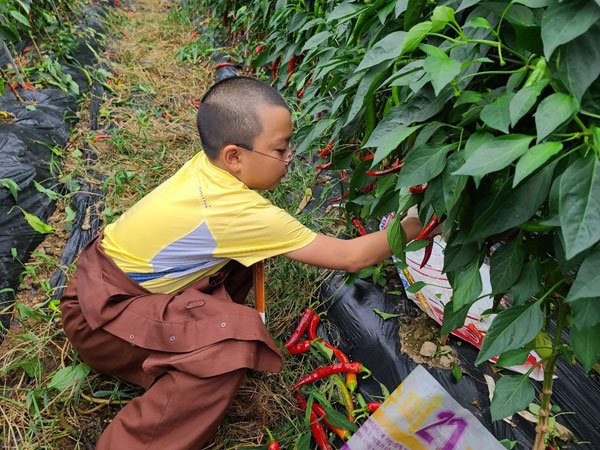 ��õ���߿�� 2020��