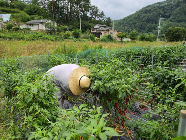 ��õ���߿�� 2020��