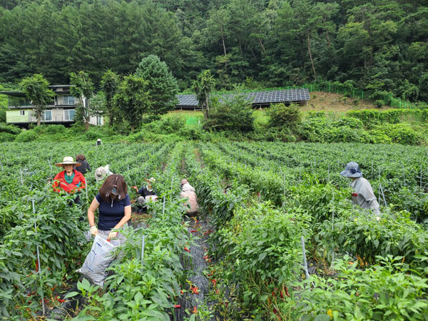 ��õ���߿�� 2020��