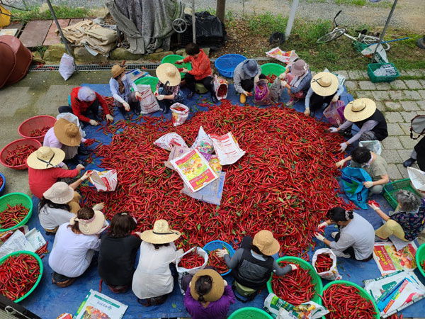 ��õ���߿�� 2020��