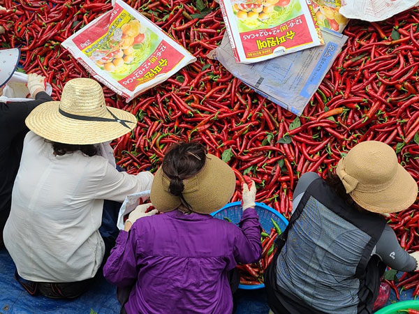 ��õ���߿�� 2020��