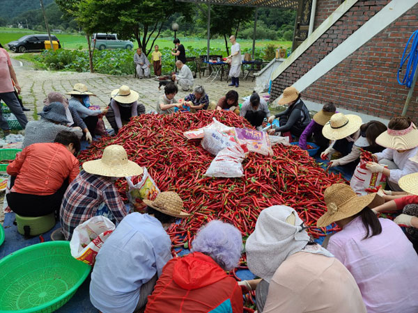 ��õ���߿�� 2020��