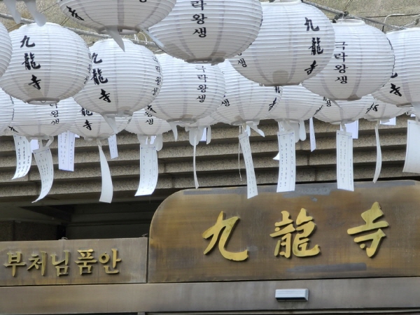 ����ȸ�� 2020��