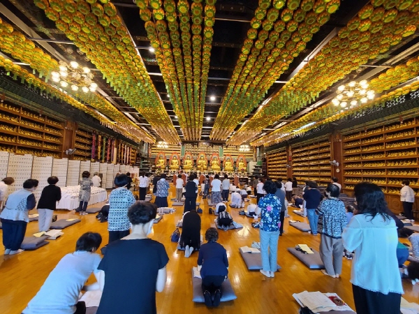 ����ȸ�� 2020��