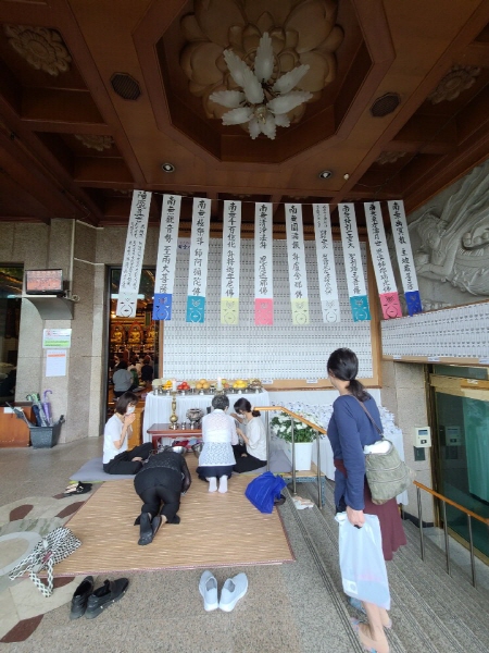 ����ȸ�� 2020��