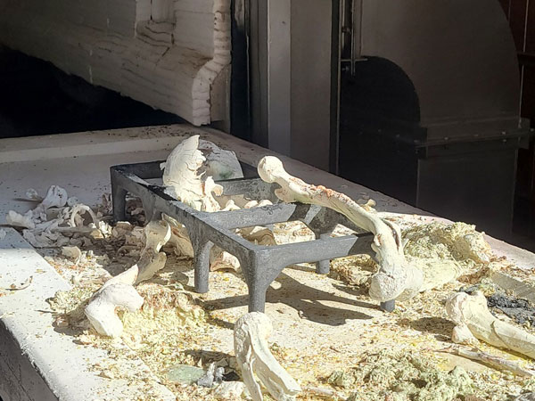 ��17�� ��ȸ�ǿ� �������� ���� �� �ٺ��(2020�� 10�� 2�� �뵵��)