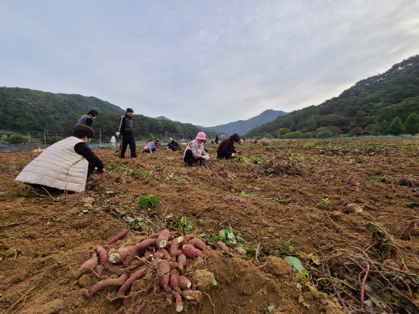 ��õ���������