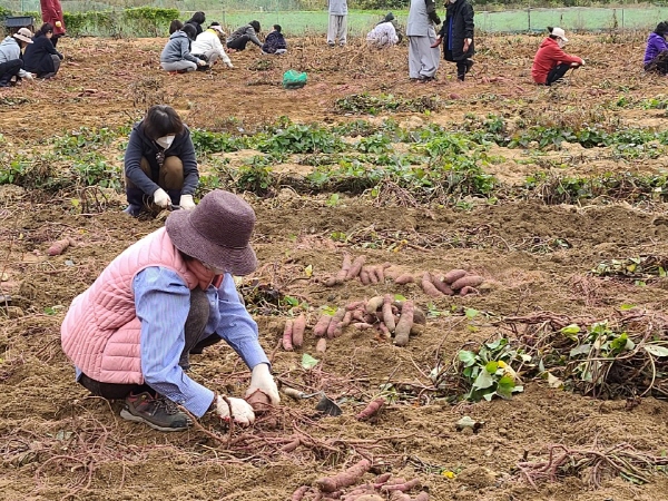 ��õ���������