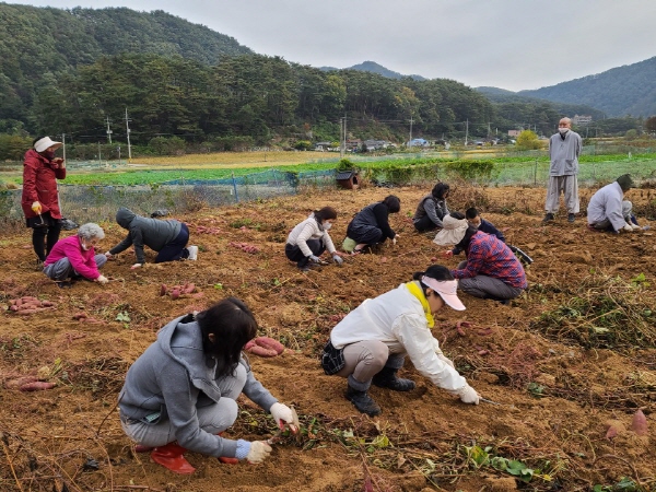 ��õ���������