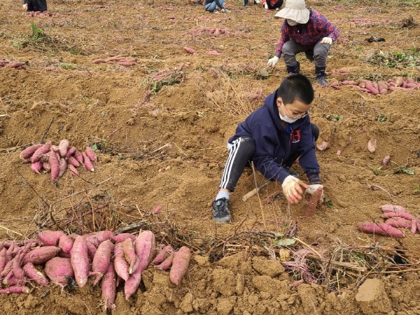 ��õ���������