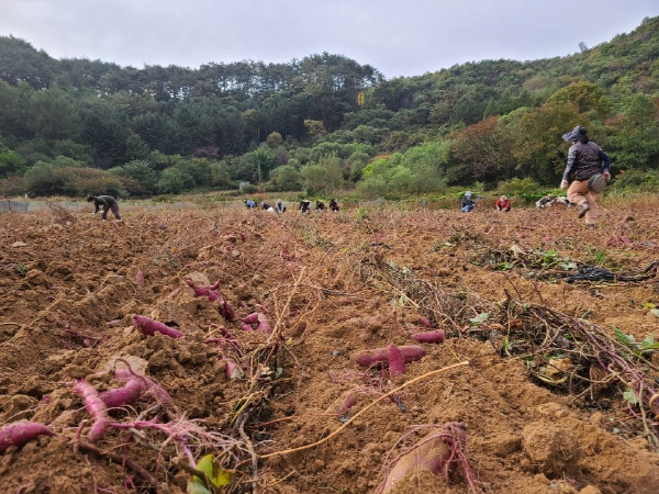 ��õ���������