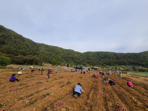 ��õ���������