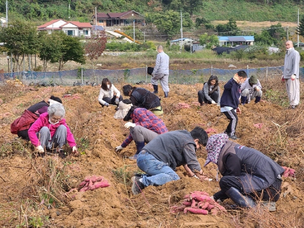 ��õ���������