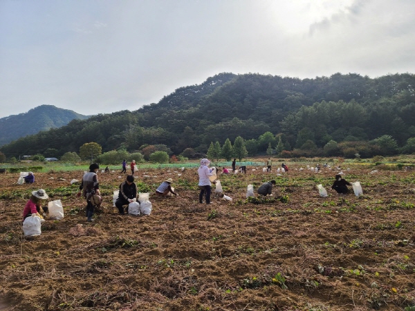 ��õ���������