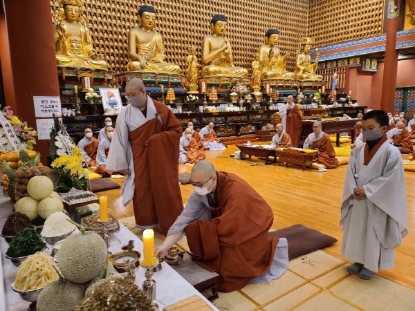 ����� �������� 49�� 5�� ����(2020�� 11�� 1�� ������)