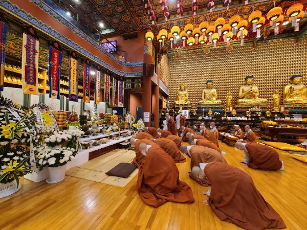 ����� �������� 49�� 5�� ����(2020�� 11�� 1�� ������))