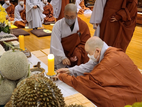 ����� �������� 49�� 5�� ����(2020�� 11�� 1�� ������)