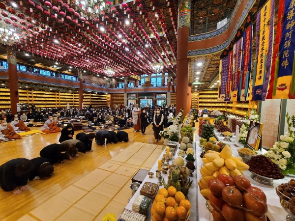 ����� �������� 49�� 5�� ����(2020�� 11�� 1�� ������)