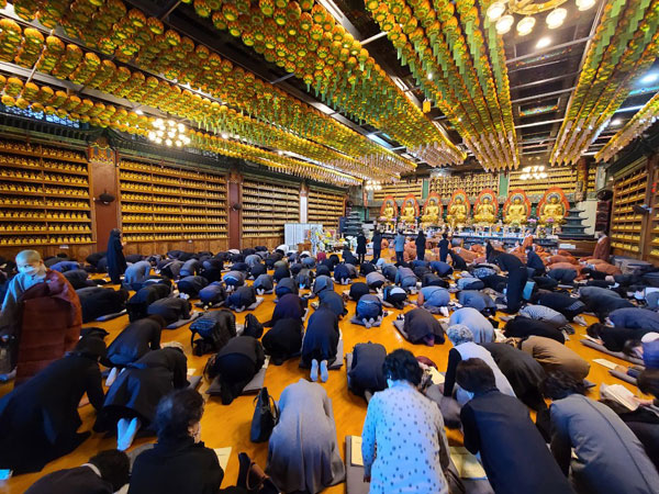 ����� �������� 49�� 6�� ����(2020�� 11�� 8�ϱ����)