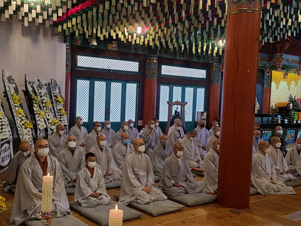 ����� �������� 49�� ���� ����(2020�� 11��14�� �뵵�� ������)