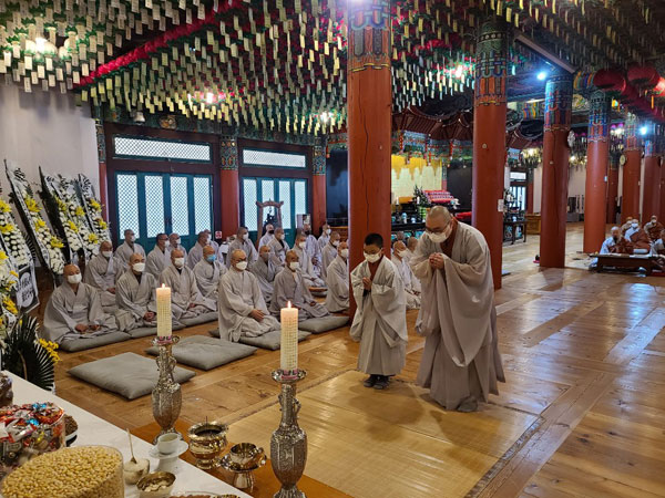 ����� �������� 49�� ���� ����(2020�� 11��14�� �뵵�� ������)