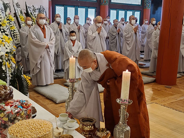 ����� �������� 49�� ���� ����(2020�� 11��14�� �뵵�� ������)