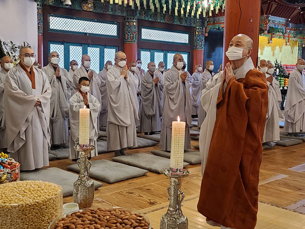 ����� �������� 49�� ���� ����(2020�� 11��14�� �뵵�� ������)