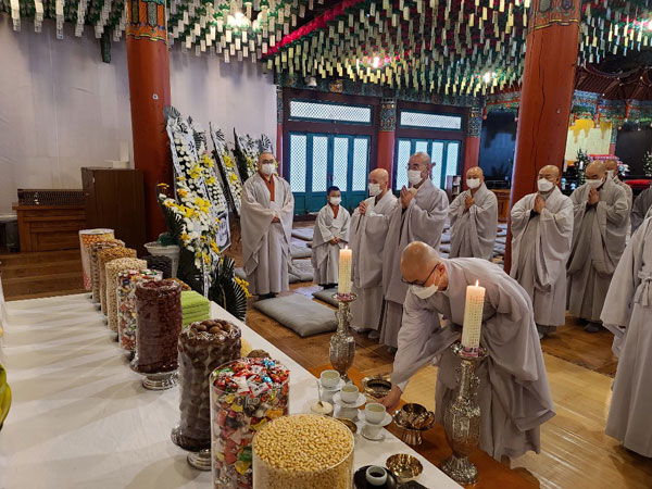 ����� �������� 49�� ���� ����(2020�� 11��14�� �뵵�� ������)