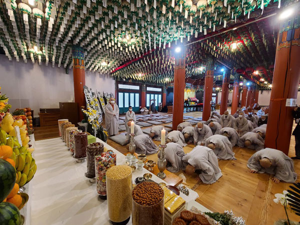 ����� �������� 49�� ���� ����(2020�� 11��14�� �뵵�� ������)