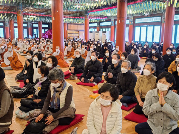 ����� �������� 49�� ���� ����(2020�� 11��14�� �뵵�� ������)