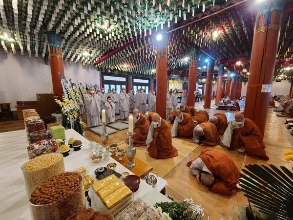 ����� �������� 49�� ���� ����(2020�� 11��14�� �뵵�� ������)