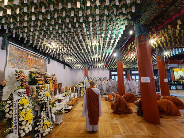 ����� �������� 49�� ���� ����(2020�� 11��14�� �뵵�� ������)