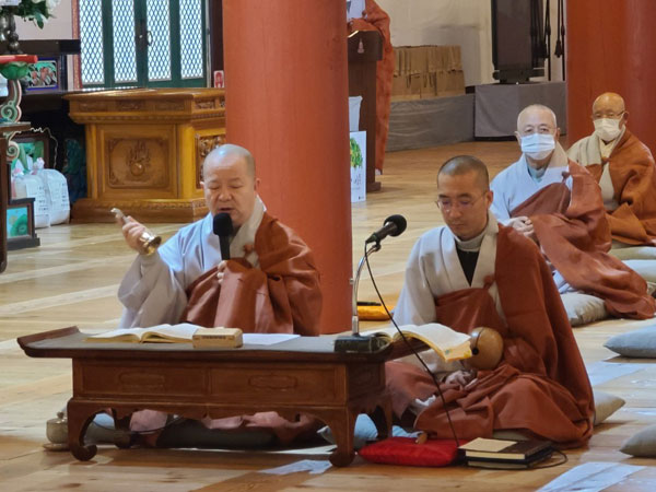 ����� �������� 49�� ���� ����(2020�� 11��14�� �뵵�� ������)