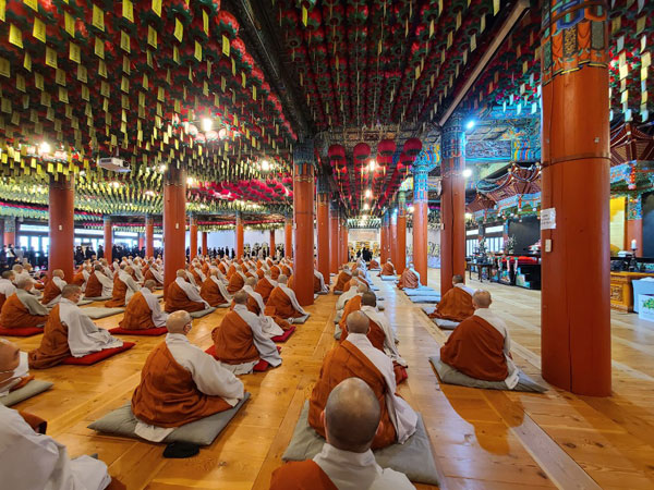 ����� �������� 49�� ���� ����(2020�� 11��14�� �뵵�� ������)