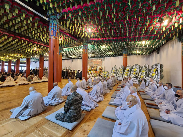 ����� �������� 49�� ���� ����(2020�� 11��14�� �뵵�� ������)