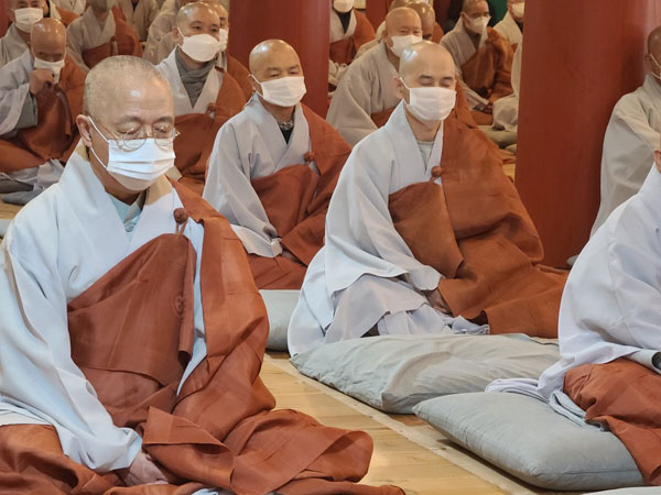 ����� �������� 49�� ���� ����(2020�� 11��14�� �뵵�� ������)