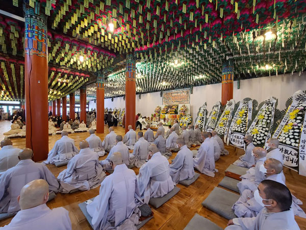 ����� �������� 49�� ���� ����(2020�� 11��14�� �뵵�� ������)