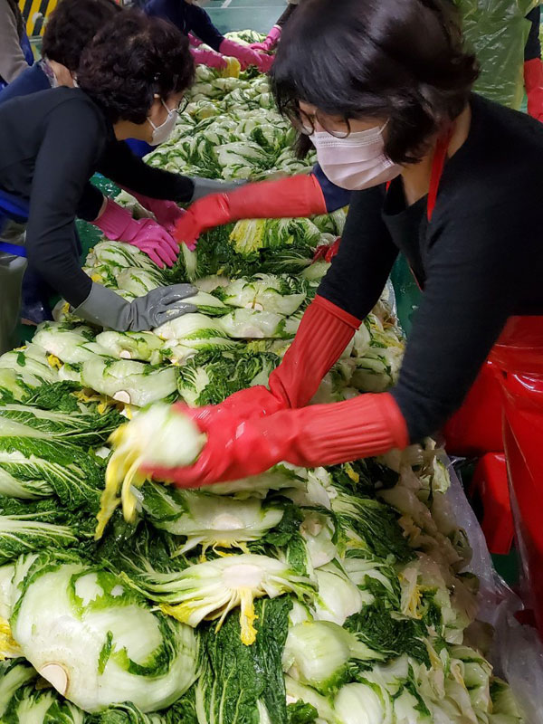 ����� ���� 2020�� 11��18�� ~ 19��