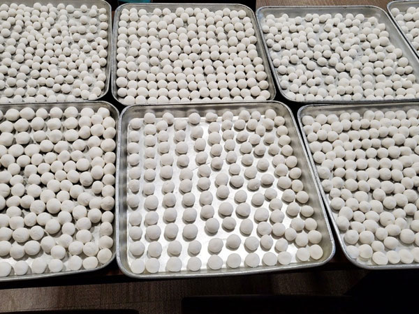 ������ȸ 2020��