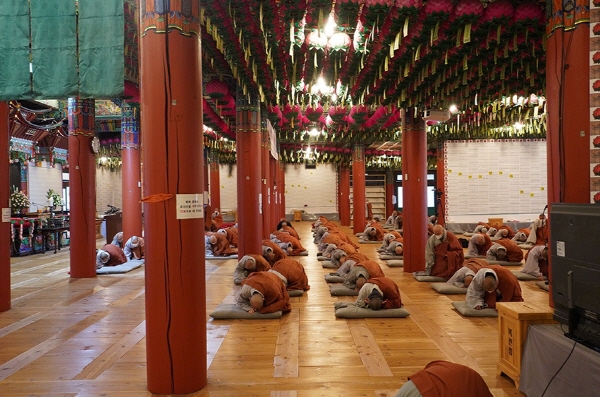 ��õ�� ���Ͻ��� ����17�ֱ� �߸�ٷ��� ����(2020��12��25�� �뵵��)