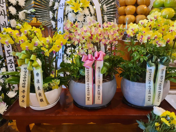 ����� �������� 100�� ����(2021�� 1�� 5��)